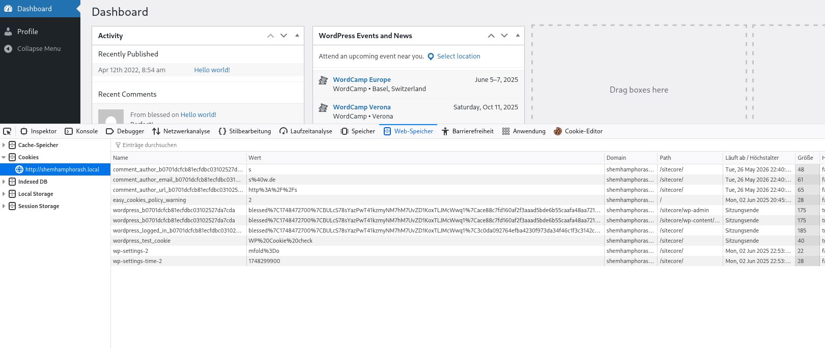 Gesetzte Cookies nach Login und Interaktion