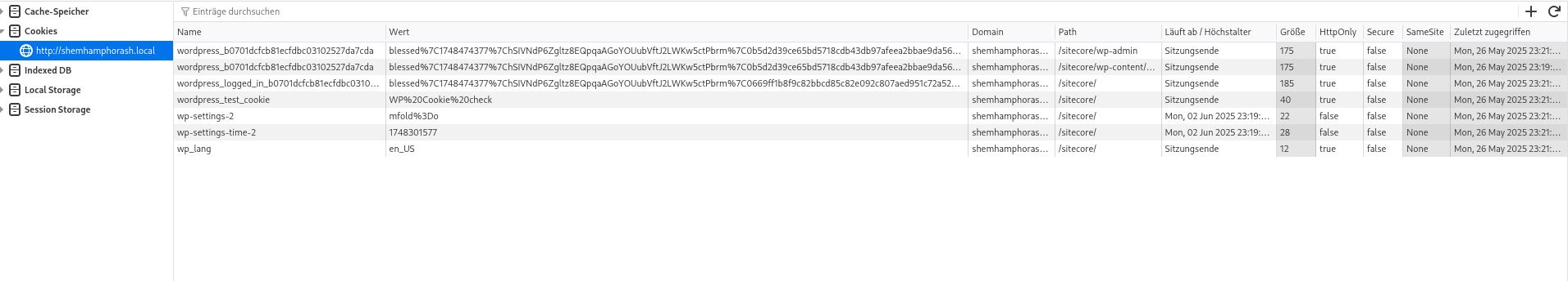 Exfiltrierte Cookies am Netcat-Listener