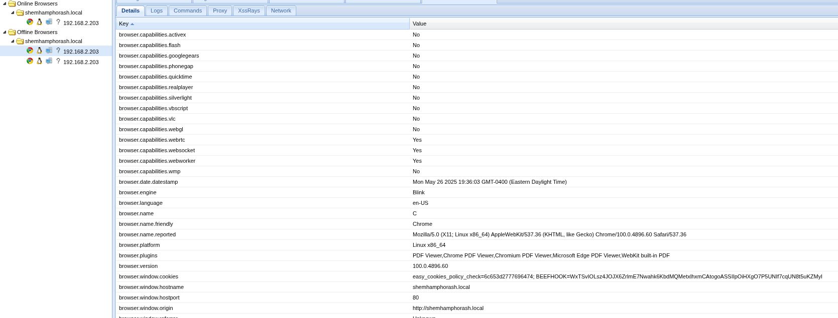 BeEF zeigt Cookies des gehookten Browsers
